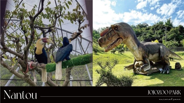 台版侏羅紀公園來了！南投「九九峰動物樂園」7/24開幕，天網鳥籠、巨大恐龍超好拍