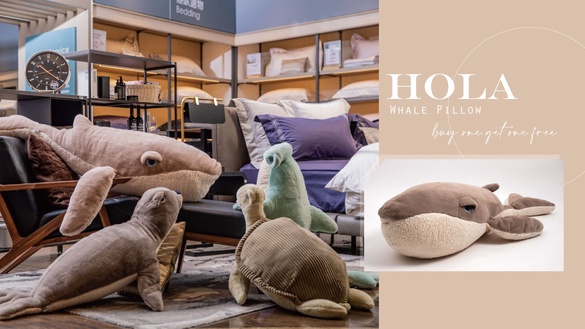 買一送一！《非常律師禹英禑》鯨魚變身140公分鯨魚抱枕現身HOLA，再推海龜、海豹抱枕