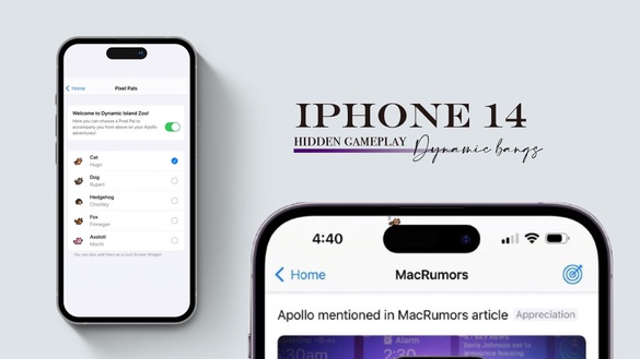 iPhone 14動態島隱藏玩法！手把手教你用動態島養貓、打彈珠，最新玩法一秒爆擊少女心