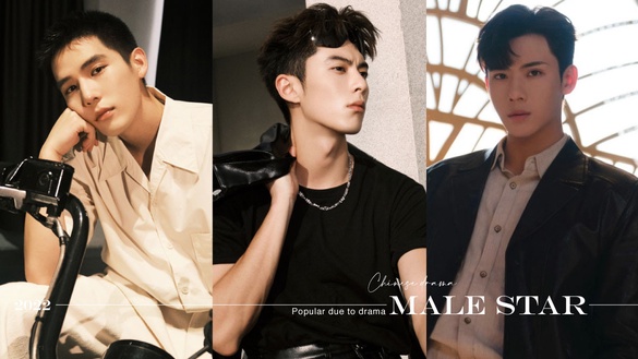 2022憑劇爆紅的陸劇男星！王安宇《熾道》爆好評，《蒼蘭訣》一次捧紅王鶴棣、張凌赫！