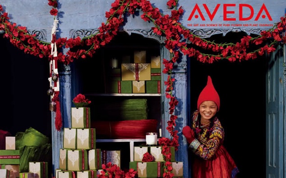 2013 AVEDA HOLIDAY 佳節系列