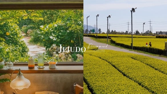 出發濟州島！濟州必去景點推薦：島中之島「牛島」、東門市場，超美橘子園咖啡廳必訪！