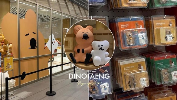 可愛爆擊！韓國「Dinotaeng快閃店」登場，巨大短尾矮袋鼠+Bobo氣球太萌，限定周邊必收