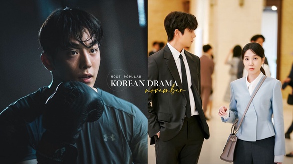 11月最熱門韓劇TOP10！《精神病也會迎來清晨》第4《無人島的DIVA》第2，冠軍太厲害了