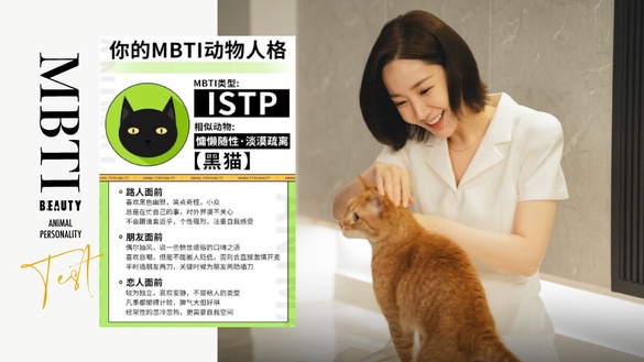 你的「MBTI動物人格」是什麼？陸網超夯心理測驗，12題測你的MBTI人格跟哪種動物最相似