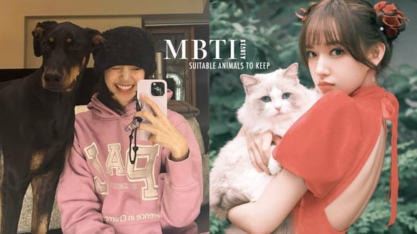 MBTI16人格適合養哪種貓狗？INFP適合養拉布拉多、INFJ黃金獵犬，「這人格」與杜賓最搭