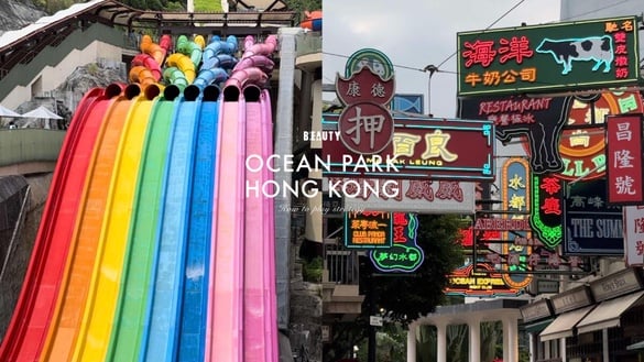香港必訪景點！「香港海洋公園」玩法攻略，刺激遊樂設施、海岸纜車、香港復古小吃都有