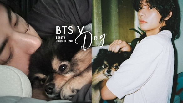 金泰亨愛犬「煤炭」離世！BTS V與愛犬背後故事有洋蔥，「煤炭」超萌影音吸220萬觀看！