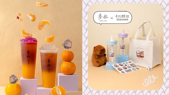 卡比胖拉頂著橘子一起變身了！參杯X卡比胖拉聯名飲品新登場，周邊飲料提袋噂嘟太萌了~