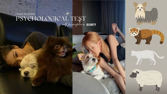 日網超準心理測驗！選三種動物，看出你的「真實性格、他人怎麼看你、對自己的看法」！