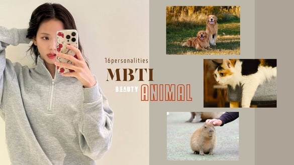 你知道自己像什麼動物嗎？MBTI人格「對應的動物」公開！ISFP完全是卡皮巴拉！