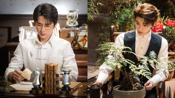 《南部檔案》劇情看點＆角色介紹：丁禹兮新作再+1！攜手張新成化身禁欲探員