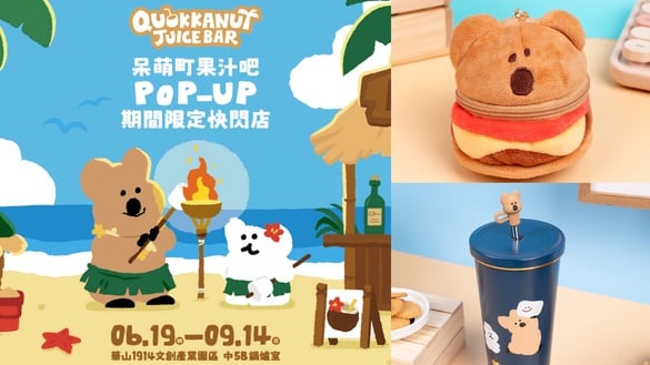 2025必逛展覽！短尾矮袋鼠快閃店「DINOTAENG 呆萌町」6/19在華山，QUOKKA、BOBO現身
