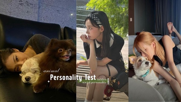 1分鐘心理測驗！從喜歡的小動物看「隱藏社交人格」，測出你在人際關係中的真實樣貌！
