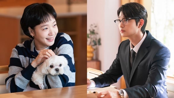 《柔美的細胞小將3》最新劇照公開！金高銀上演年下羅曼史，老公「申馴鹿」演員是他