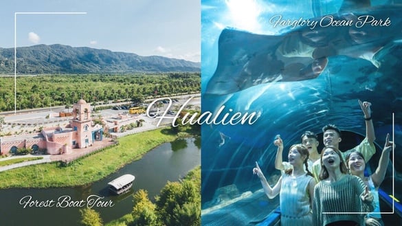 玩翻花蓮千元有找！海洋公園 X 理想 PAARK 推出 $990 雙星企劃，輕旅一日遊首選！