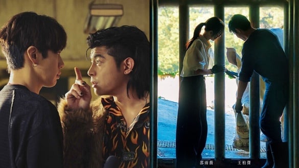 2026上半年IMDb「最高分」台劇TOP9！《乩身》第6，《動物園》第2，冠軍8.0分意外好看