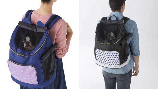 日本全新寵物品牌「Charapeti」，首推美少女戰士、七龍珠聯名商品，貓奴狗奴都暴動啦！