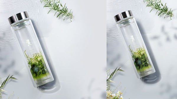 cama café X日本國際花藝設計團隊plantica推出期間限定花杯，一共6款cama café X plantica冰、熱花杯通通要收集！