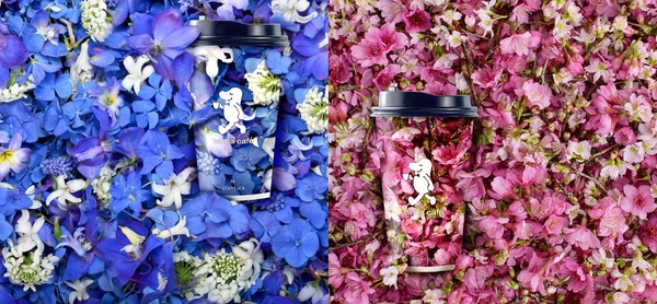 cama café X日本國際花藝設計團隊plantica推出期間限定花杯，一共6款cama café X plantica冰、熱花杯通通要收集！