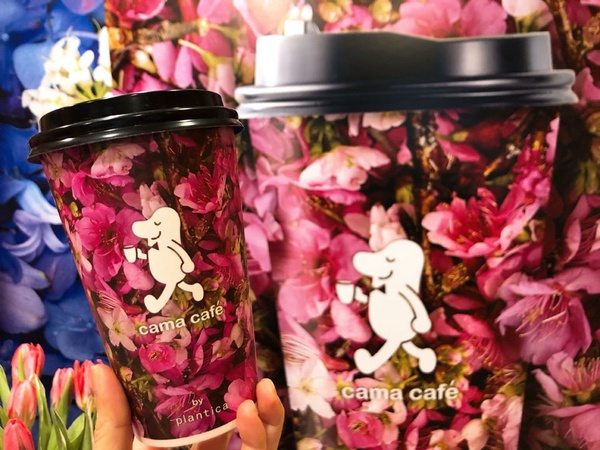 cama café X日本國際花藝設計團隊plantica推出期間限定花杯，一共6款cama café X plantica冰、熱花杯通通要收集！