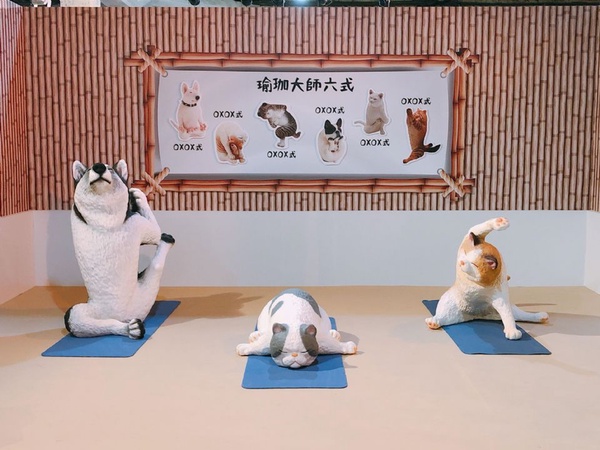 「動物也瘋狂 朝隈俊男のAnimal Life」登陸台灣！超過30隻等身大型公仔療癒又好拍！