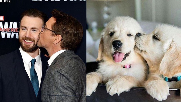 20張圖證明美國隊長是黃金獵犬本狗！克里斯伊凡溫暖、幽默又可愛，讓人想要抱緊緊