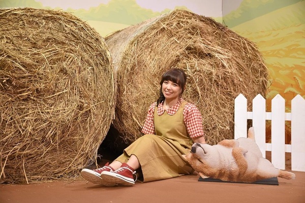 夢時代「夢遊休眠動物園」特展免費入場，各種萌翻的熟睡動物，還有五大展區讓你拍到停不下來～