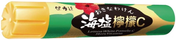 全家便利商店海鹽祭登場，日本熱賣「海鹽奶油餅乾超級冰淇淋」、「海鹽荔枝飲」為你消暑解熱！