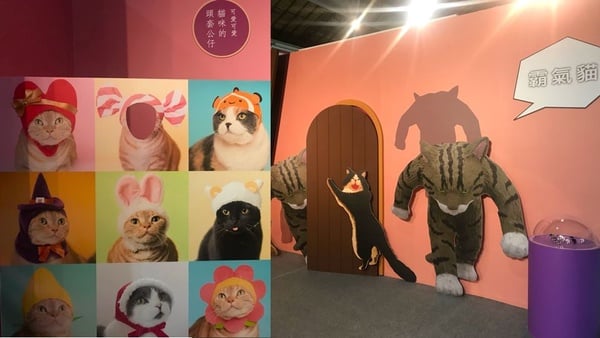 《蛋蛋特展》經典扭蛋大集合!杯緣子、面紙盒摺耳貓、正能量企鵝一次駕到!