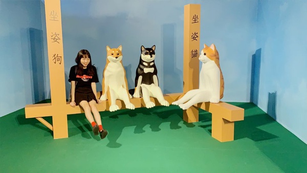 《蛋蛋特展》經典扭蛋大集合!杯緣子、面紙盒摺耳貓、正能量企鵝一次駕到!