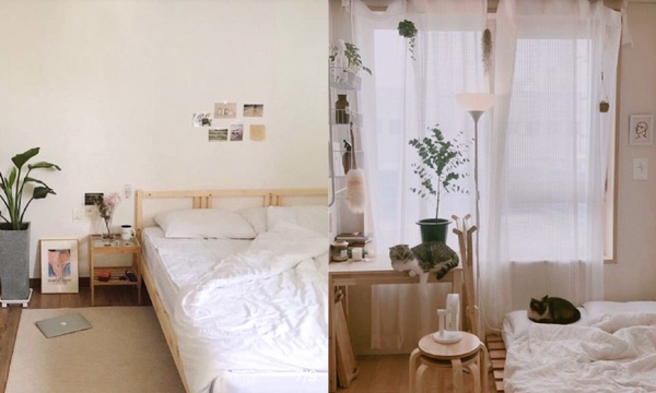 房間布置不求人！IG、小紅書討論度超高的what's in my room！ 不用花錢請設計師，四種風格自己輕鬆打造