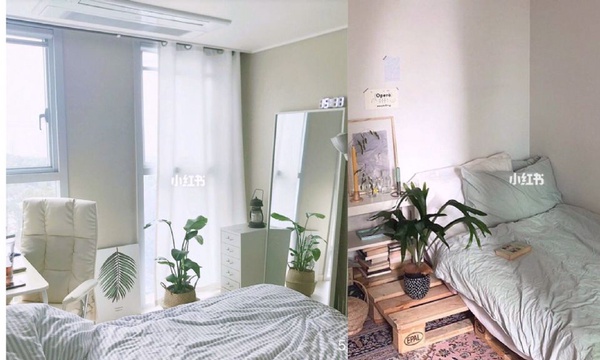 房間布置不求人！IG、小紅書討論度超高的what's in my room！ 不用花錢請設計師，四種風格自己輕鬆打造