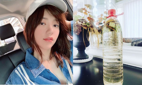 《極限挑戰》迪麗熱巴快樂水「咖啡」提神又消腫！范冰冰、宋慧喬與女星們的美白消腫水是這幾杯！