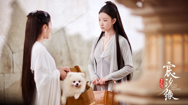 不只倪妮《宸汐緣》撞衫《三生三世》楊冪！18組古裝撞衫對比照，最後一張尷尬爆