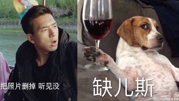 《親愛的熱愛的》楊紫自帶CP感！7位合作男星李現爆了、鄧倫火了，和他愛到劇外變真實CP