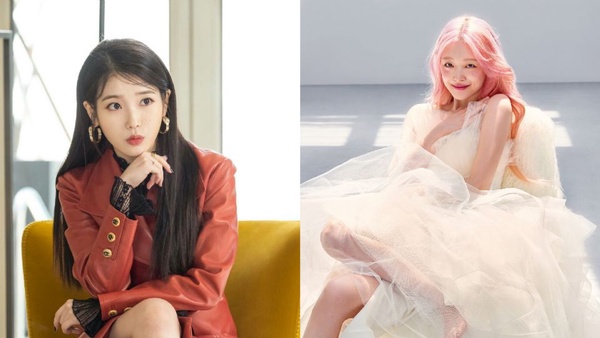 《德魯納酒店》雪莉、南多凜特別出演，IU好友大集合，網友還敲碗這幾位來客串 
