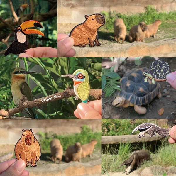 木柵動物園推出「雨林動物繡片別針」！超萌的水豚＆食蟻獸繡片，為期一天還只送不賣～