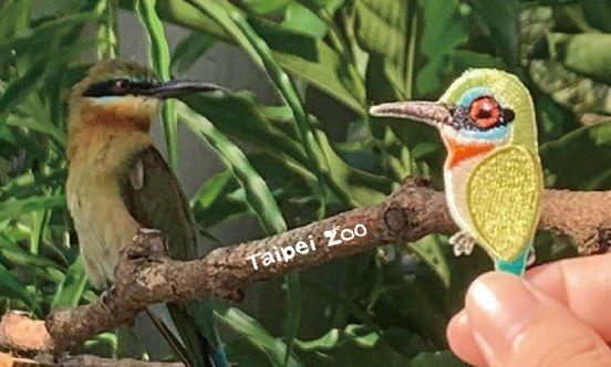木柵動物園推出「雨林動物繡片別針」！超萌的水豚＆食蟻獸繡片，為期一天還只送不賣～
