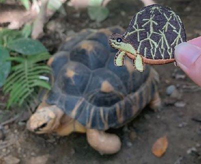 木柵動物園推出「雨林動物繡片別針」！超萌的水豚＆食蟻獸繡片，為期一天還只送不賣～
