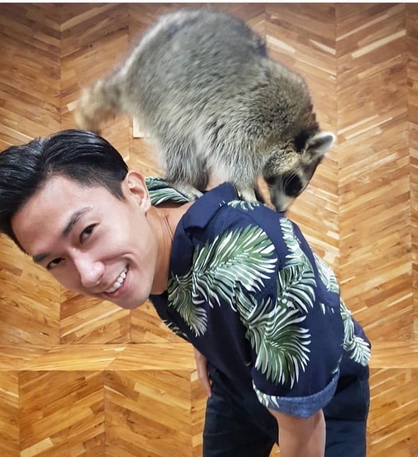 曼谷必訪「動物咖啡廳」！讓浣熊、柯基融化你疲憊的心，地址、開放時間通通在這裡！