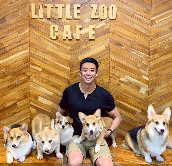 曼谷必訪「動物咖啡廳」！讓浣熊、柯基融化你疲憊的心，地址、開放時間通通在這裡！