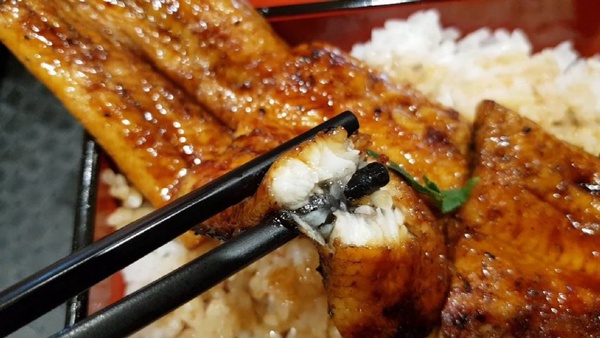 「鰻重總本家」就在林口三井！正統關東鰻魚飯的「鰻重總本家」來台灣，就在8月開幕～