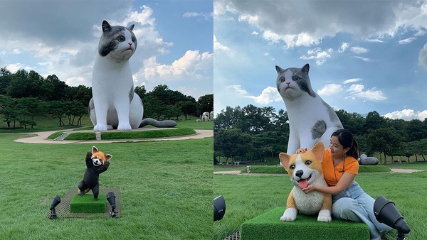 巨型喵星人出沒！韓國奧林匹克公園「AR動物園」，10公尺超巨大貓咪成為最新打卡熱點！