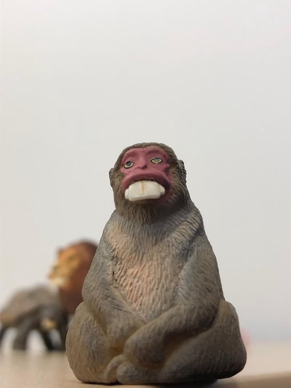 戽斗星球農場動物，萌度更上一層樓！新造型「暴牙款」醜破天際，牙醫看了森七七！