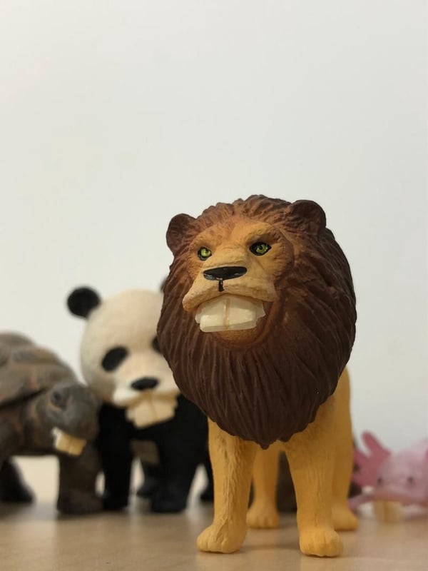 戽斗星球農場動物，萌度更上一層樓！新造型「暴牙款」醜破天際，牙醫看了森七七！