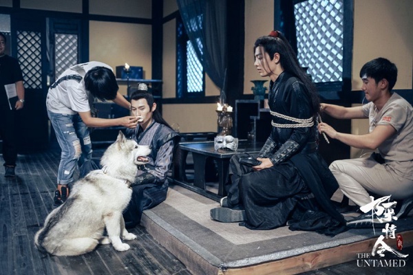 關於《陳情令》肖戰的12個小秘密！貓奴、紳士手、戀愛理想型，完全是現實版的校園男神
