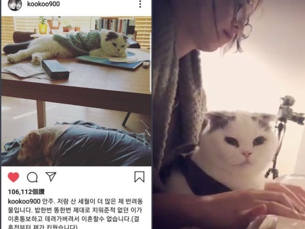 具惠善指安宰賢外遇，吳漣序怒提告！兩人離婚事件始末懶人包，撕破臉公開對話、互相爆料，網友累喊：何時大結局？