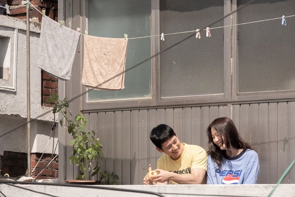 《山茶花開時》孔曉振、姜河那超有CP感，8位韓劇「百搭女王」，朴信惠跟誰都超配，只有和他不來電