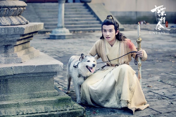 不讓肖戰專美於前！《陳情令》9位主演待播劇，肖戰四部、王一博兩部，而他有五部